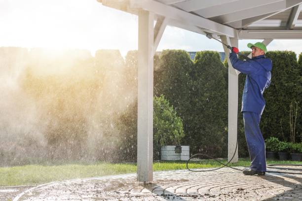 Best Sidewalk and Walkway Cleaning  in Dilley, TX
