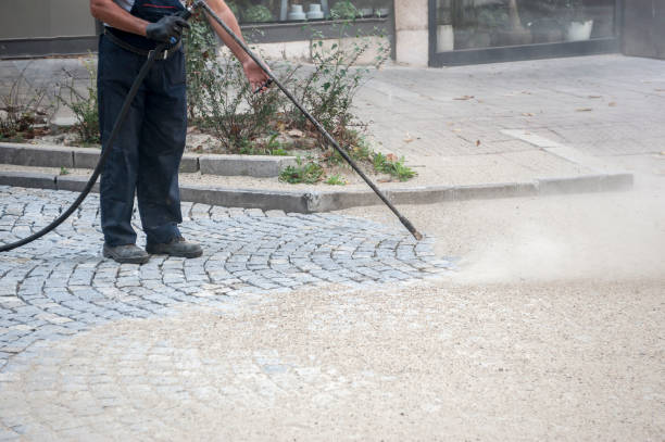 Best Winterizing Services  in Dilley, TX